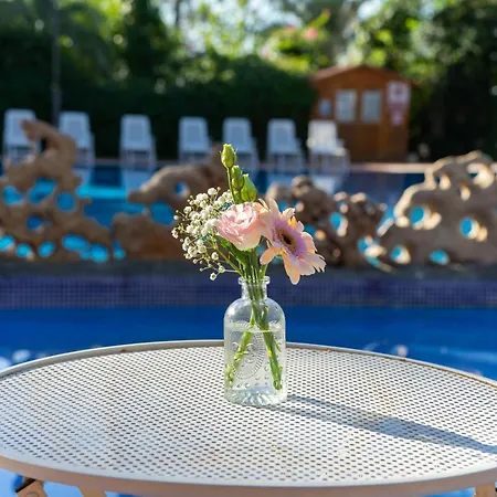 Resort Palmeras Crevillente