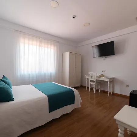 Palmeras Crevillente